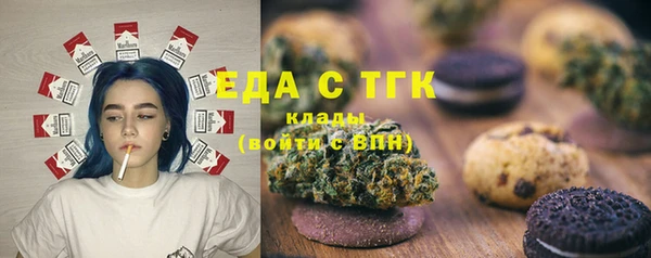 индика Абаза