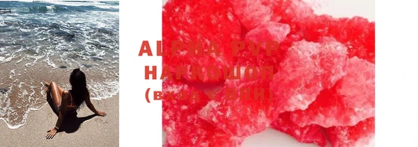 индика Абаза