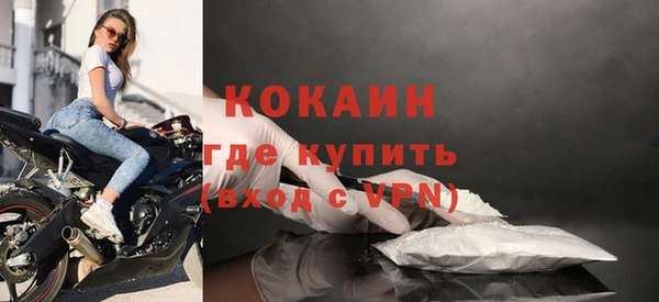 индика Абаза