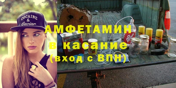 индика Абаза
