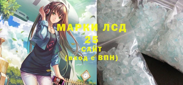 индика Абаза