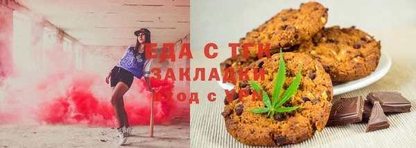 индика Абаза